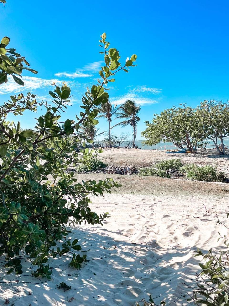 Atins Beach Houses Экстерьер фото